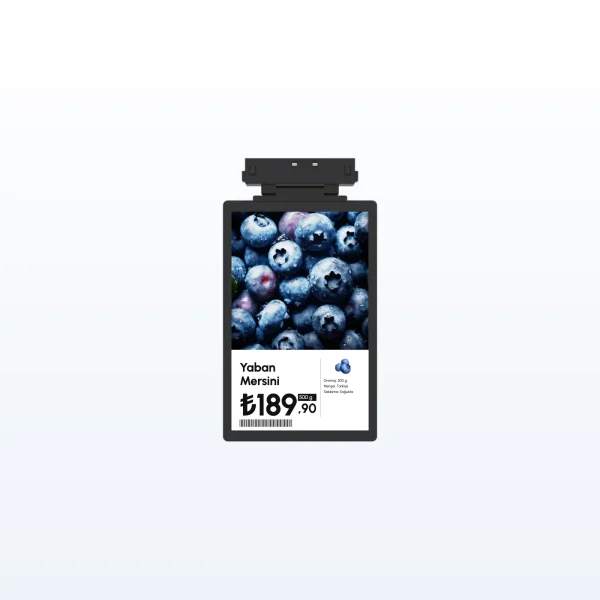 VyTag T10 Ray